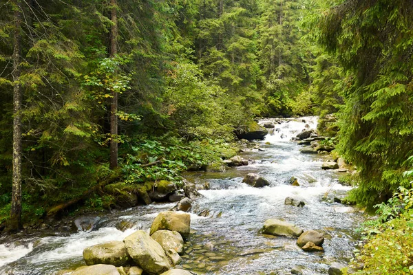 Beautiful landscape with mountain stream — Stock Photo, Image