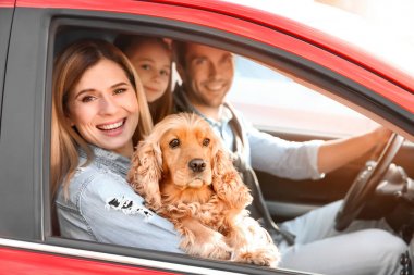 Sevimli kız ve köpek araba ile genç aile
