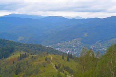 dağ orman ile güzel manzara