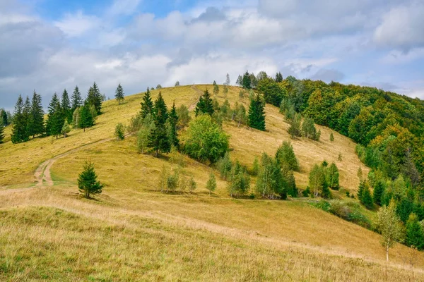Dağ orman ile güzel manzara — Stok fotoğraf
