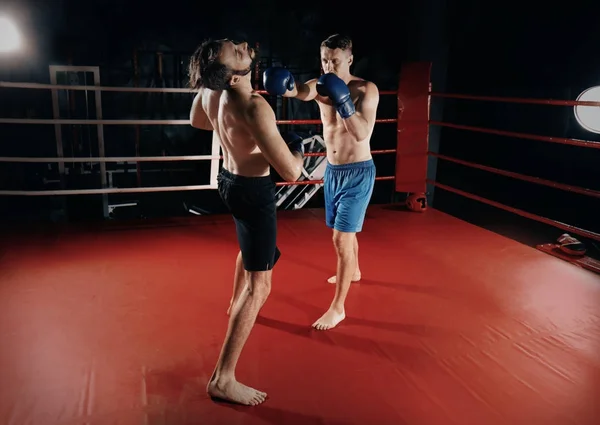 Young professional boxers training in ring — Stock Photo, Image