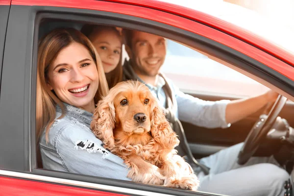 Keluarga muda dengan gadis cantik dan anjing di dalam mobil — Stok Foto