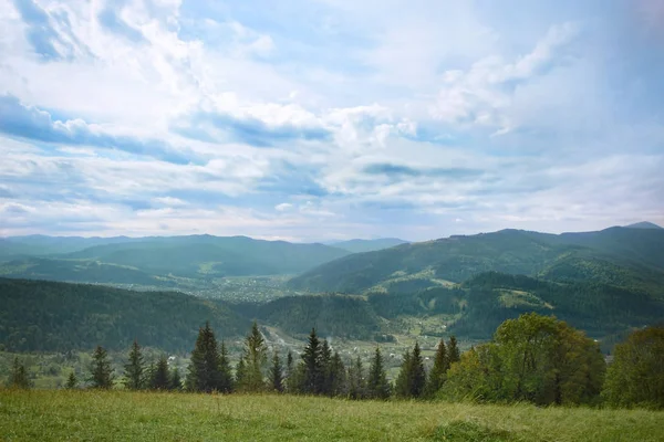 Schöne Landschaft mit Bergwald — Stockfoto