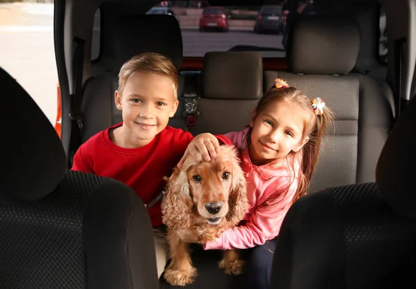 Cute children with dog sitting in car — Stock Photo, Image