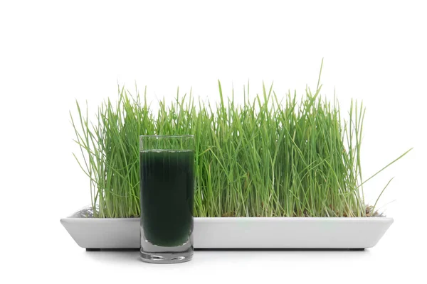 Sprouted wheat grass and shot of healthy juice — Stock Photo, Image