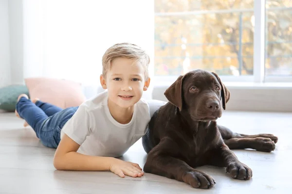 Милый маленький мальчик с собакой у окна дома — стоковое фото