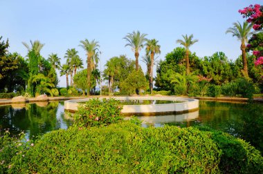  Güzel park su birikintisi ile 