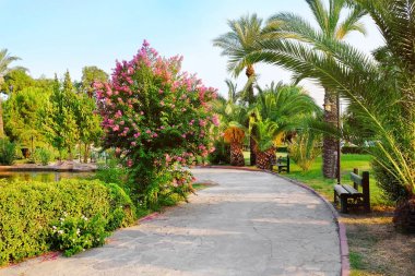  tropik avuç içi ile Park