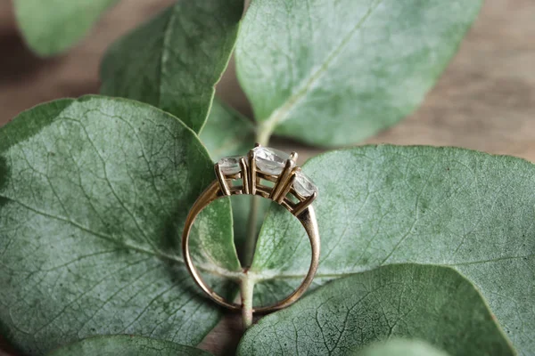 Planta con hermoso anillo de compromiso sobre fondo de madera — Foto de Stock