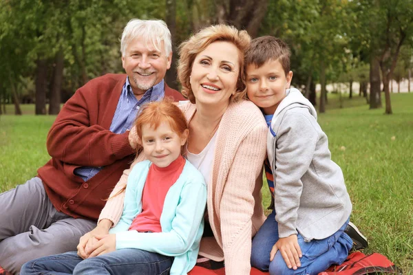 Gelukkige senior paar met kleinkinderen in park — Stockfoto