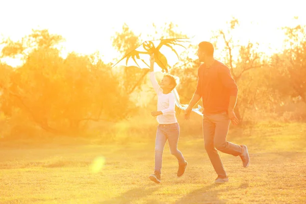 Padre y su hijo con cometa en el campo en un día soleado — Foto de Stock