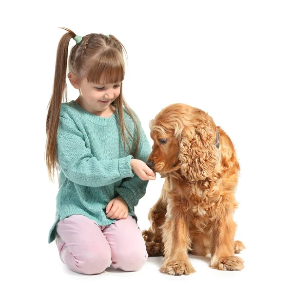 Linda niña alimentación perro sobre fondo blanco — Foto de Stock