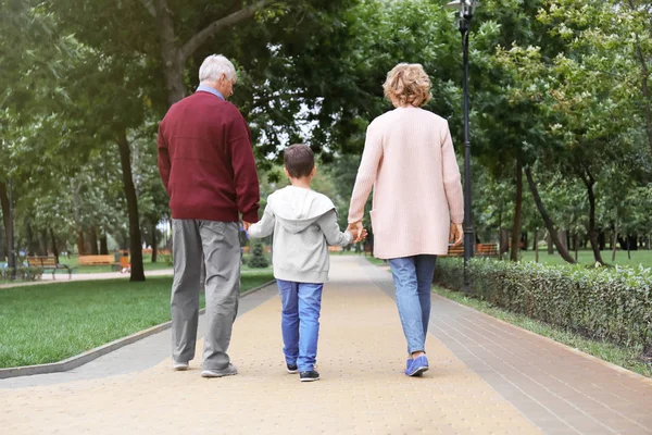 Glückliches Seniorenpaar mit Enkel im Park — Stockfoto