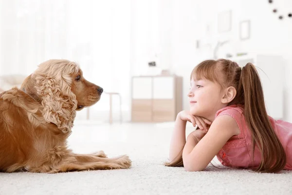 Menina bonito com cão em casa — Fotografia de Stock