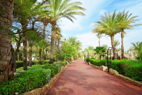 Alley in beautiful botanical garden — Stock Photo, Image