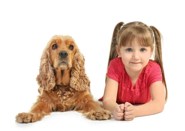 Schattig klein meisje met grappige hond op witte achtergrond — Stockfoto