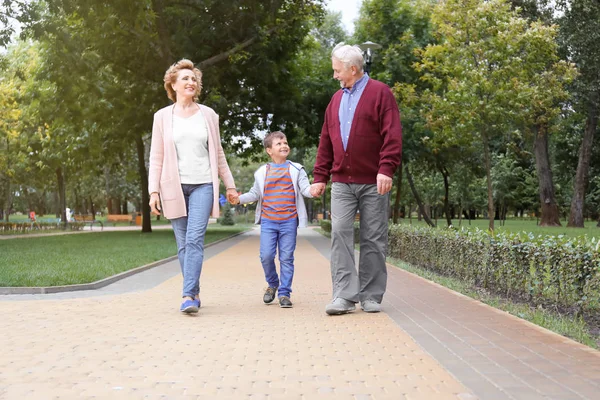 Happy senior couple with grandson in park — Stock Photo, Image