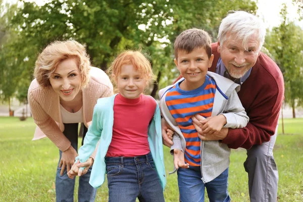 Gelukkige senior paar met kleinkinderen in park — Stockfoto