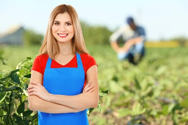 Owner of agribusiness in cultivated field — Stock Photo, Image