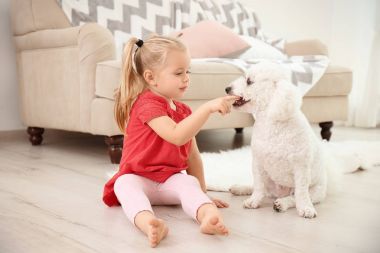 Sevimli küçük kız onu köpek vasıl ev ile