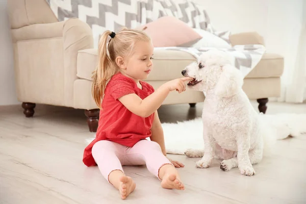 Menina Adorável Com Seu Cão Casa — Fotografia de Stock