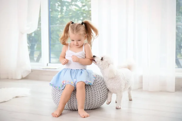 Menina Adorável Com Seu Cão Casa — Fotografia de Stock