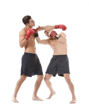 Çekici genç boksörler mücadele 