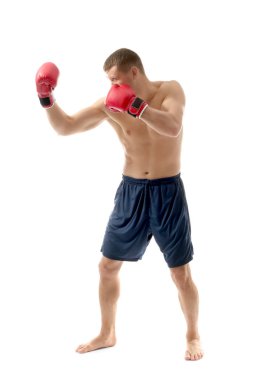 Çekici genç boksör 