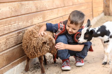 Sevimli küçük çocuk hayvanat koyun ile
