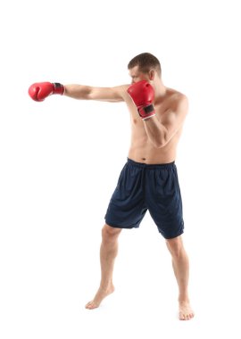 Çekici genç boksör 