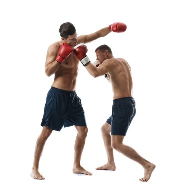 Çekici genç boksörler mücadele