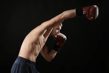 Çekici genç boksör 