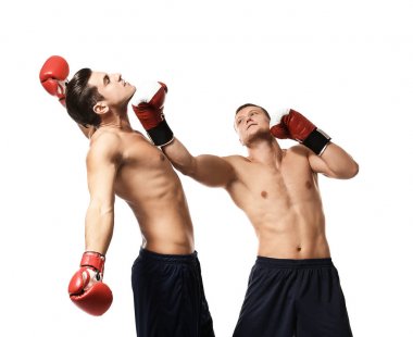Çekici genç boksörler mücadele 