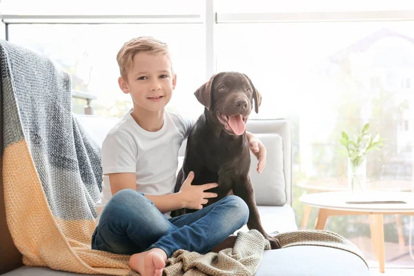 Lindo niño con perro en el sofá en casa —  Fotos de Stock