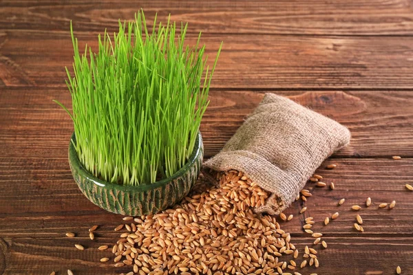 Tarwe zaden en gras in pot — Stockfoto