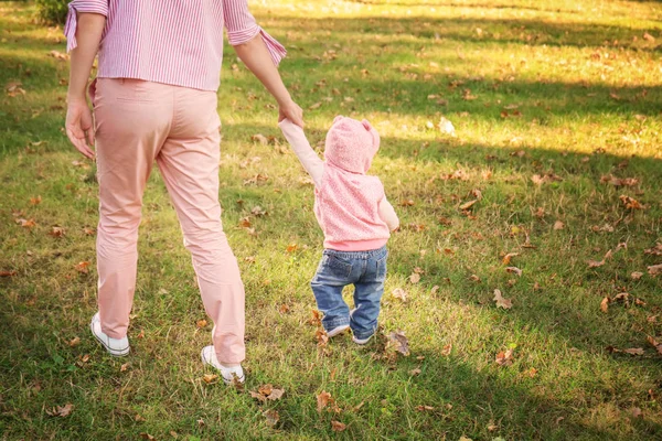 Matka z urocza dziewczynka grając razem w parku jesień — Zdjęcie stockowe