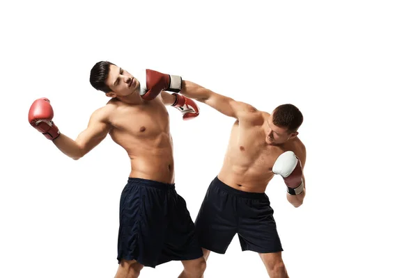 Atractivos boxeadores jóvenes luchando — Foto de Stock