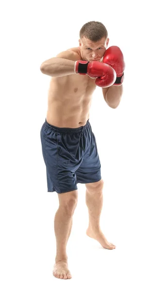 Attraktiver junger Boxer — Stockfoto