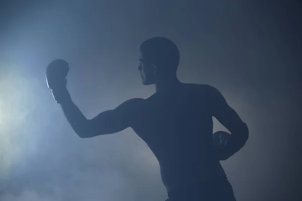 Silhouette of strong male boxer — Stock Photo, Image