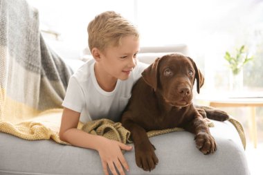 Sevimli küçük çocuk ile köpek evde kanepe