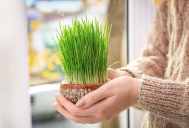 Buğday çimen ile pota tutan kadın 