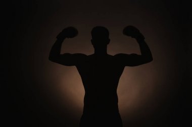 Güçlü erkek boxer silüeti 