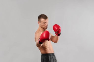 Çekici genç boksör 
