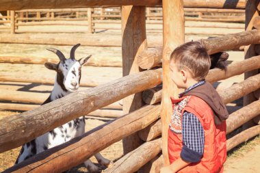 Hayvanat Bahçesi keçi ile küçük çocuk