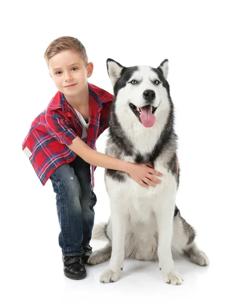 Menino bonito com Husky cão no fundo branco — Fotografia de Stock