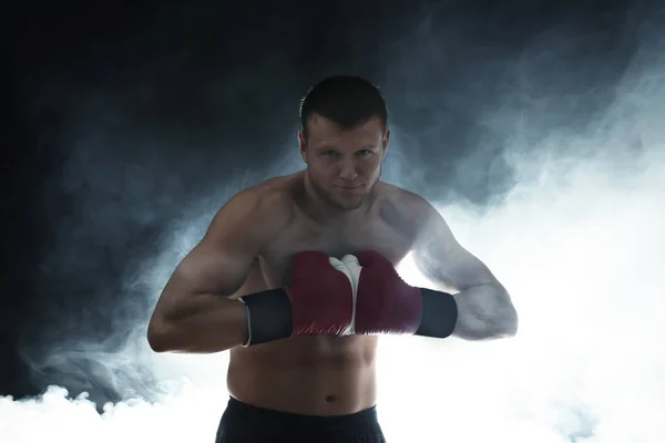 Mladý pejsek boxer s kouřem — Stock fotografie