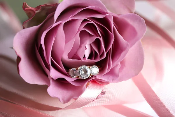 Rosa con bellissimo anello di fidanzamento — Foto Stock