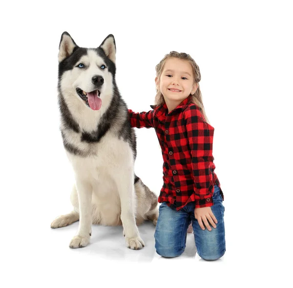 Petite fille avec chien Husky mignon sur fond blanc — Photo