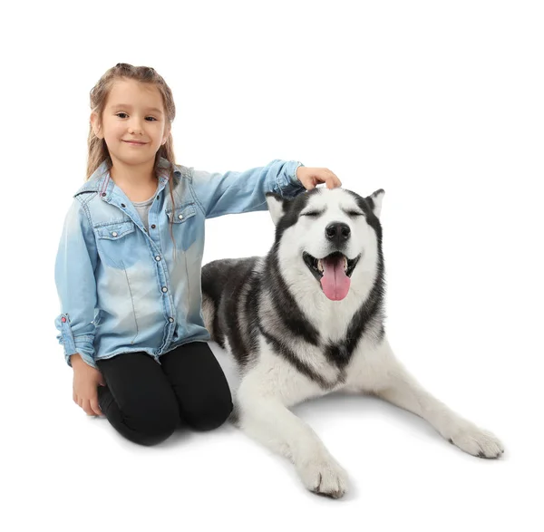 Petite fille avec chien Husky mignon sur fond blanc — Photo