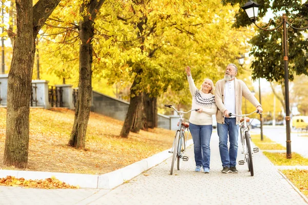 Seniorenpaar Läuft Mit Fahrrädern Park — Stockfoto